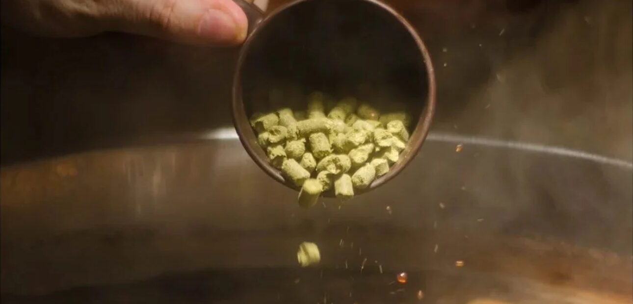 Adding hops to boil process to add bitterness and characteristics to flavor of finished product.